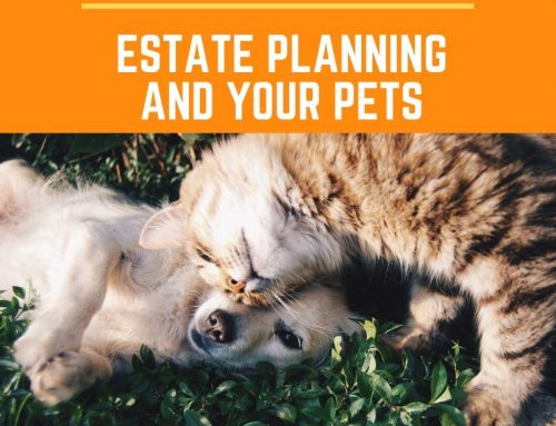 Creating an Estate Plan for Your Pets