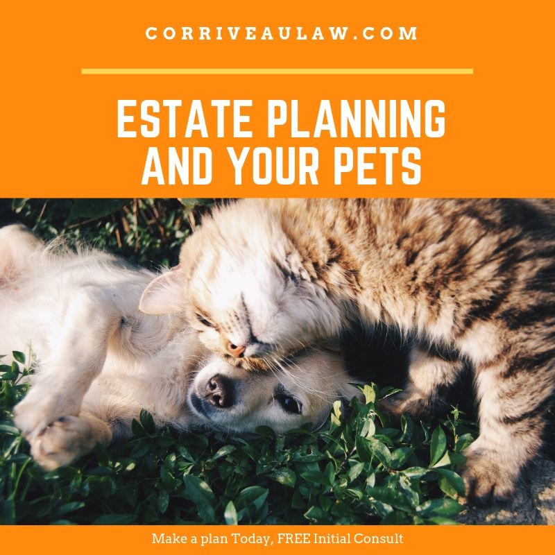 Quick Estate Planning Check List for Your Pets